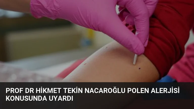 Prof Dr Hikmet Tekin Nacaroğlu polen alerjisi konusunda uyardı