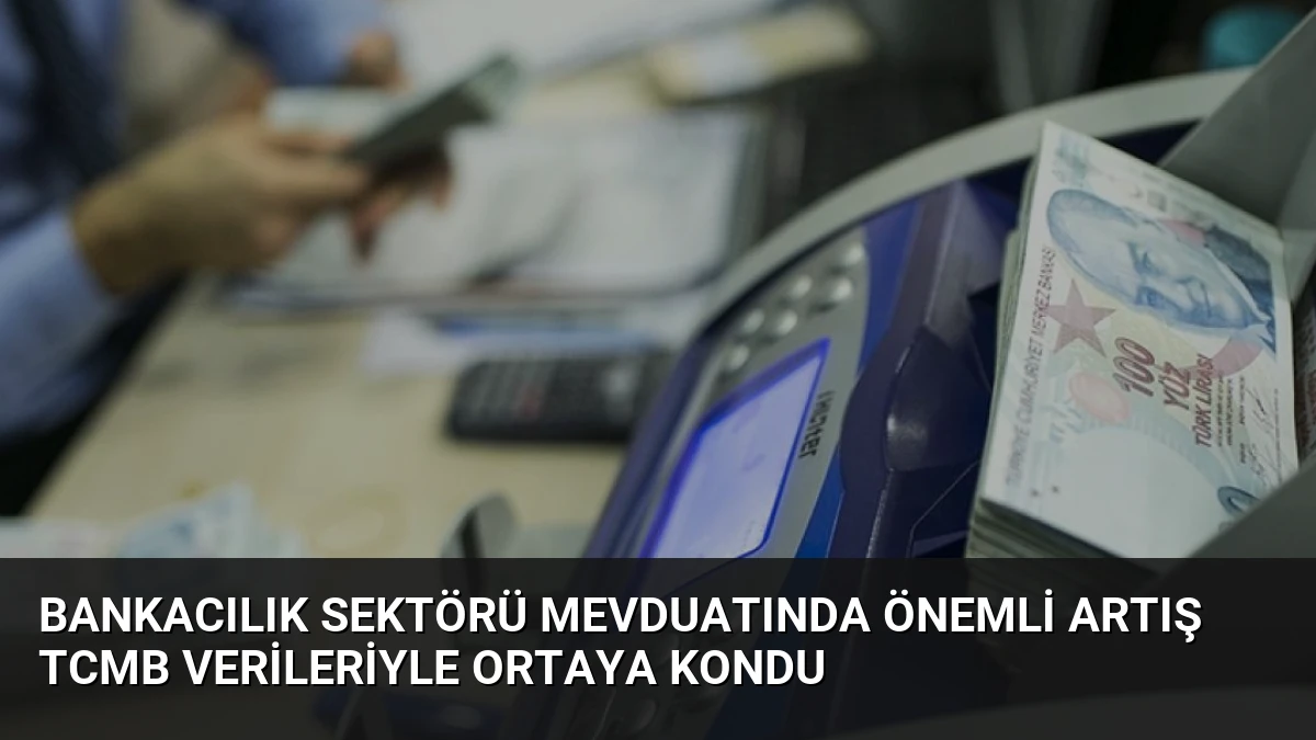 Bankacılık Sektörü Mevduatında Önemli Artış TCMB Verileriyle Ortaya Kondu