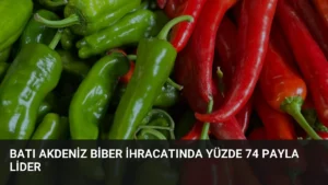 Batı Akdeniz Biber İhracatında Yüzde 74 Payla Lider