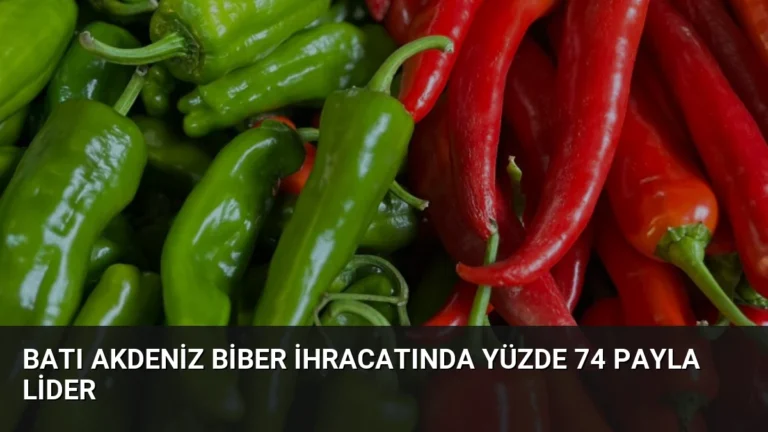 Batı Akdeniz Biber İhracatında Yüzde 74 Payla Lider