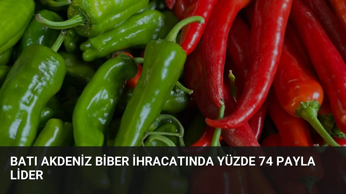 Batı Akdeniz Biber İhracatında Yüzde 74 Payla Lider