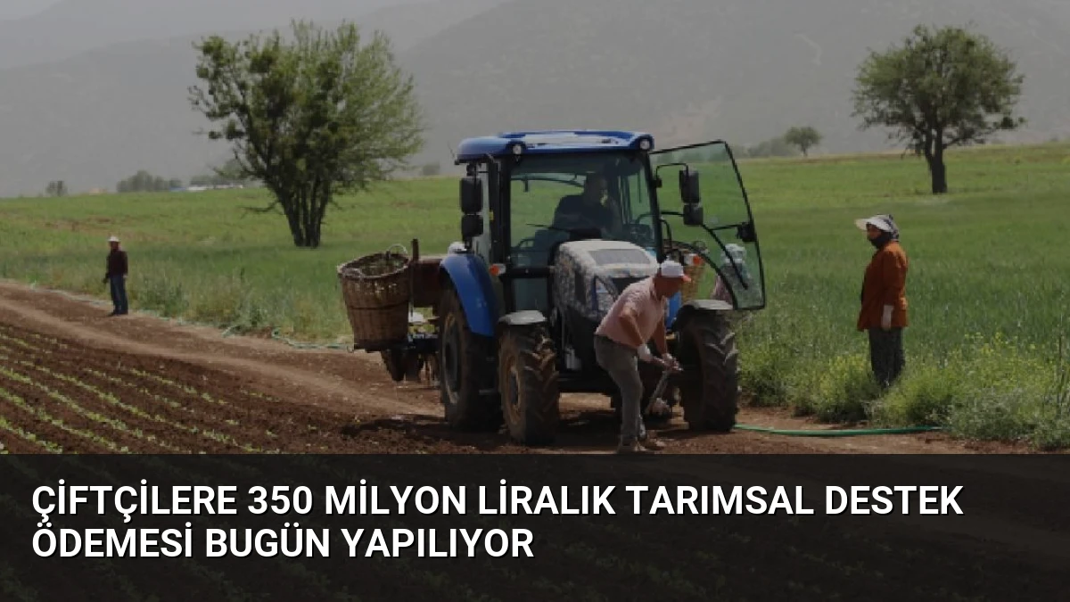 Çiftçilere 350 Milyon Liralık Tarımsal Destek Ödemesi Bugün Yapılıyor
