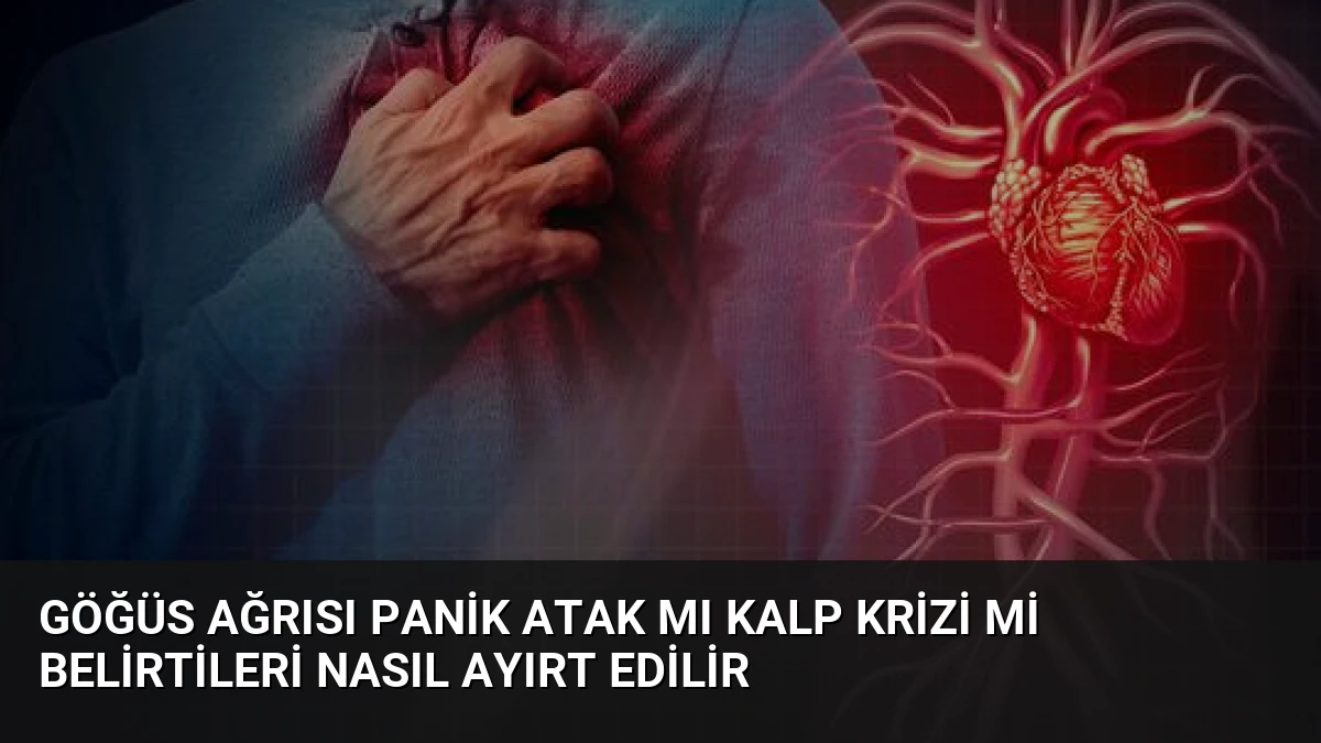 Göğüs Ağrısı Panik Atak mı Kalp Krizi mi Belirtileri Nasıl Ayırt Edilir