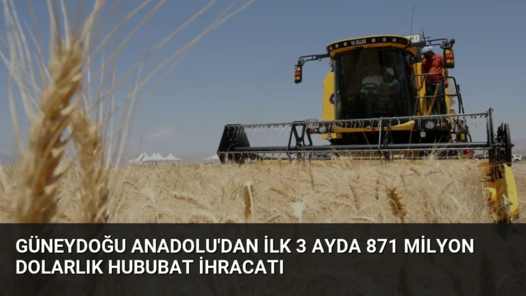 Güneydoğu Anadolu’dan İlk 3 Ayda 871 Milyon Dolarlık Hububat İhracatı