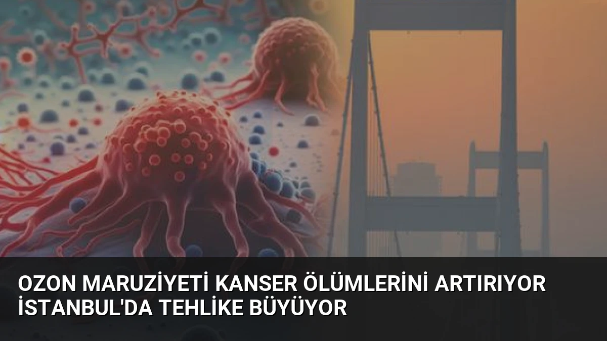 Ozon Maruziyeti Kanser Ölümlerini Artırıyor İstanbul’da Tehlike Büyüyor