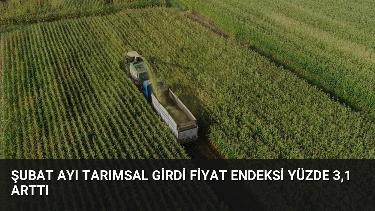 Şubat Ayı Tarımsal Girdi Fiyat Endeksi Yüzde 3,1 Arttı