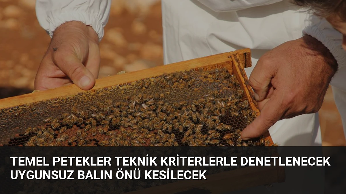 Temel Petekler Teknik Kriterlerle Denetlenecek Uygunsuz Balın Önü Kesilecek