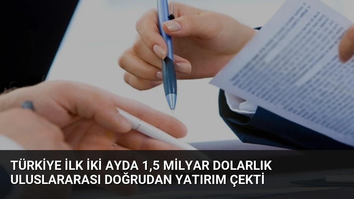 Türkiye İlk İki Ayda 1,5 Milyar Dolarlık Uluslararası Doğrudan Yatırım Çekti
