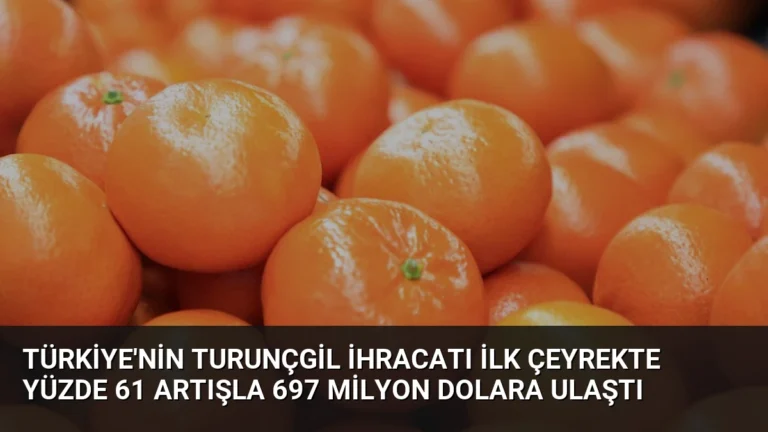 Türkiye’nin Turunçgil İhracatı İlk Çeyrekte Yüzde 61 Artışla 697 Milyon Dolara Ulaştı