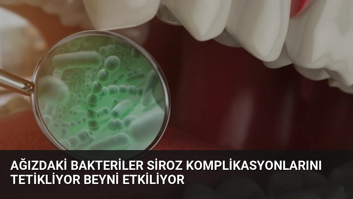 Ağızdaki Bakteriler Siroz Komplikasyonlarını Tetikliyor Beyni Etkiliyor