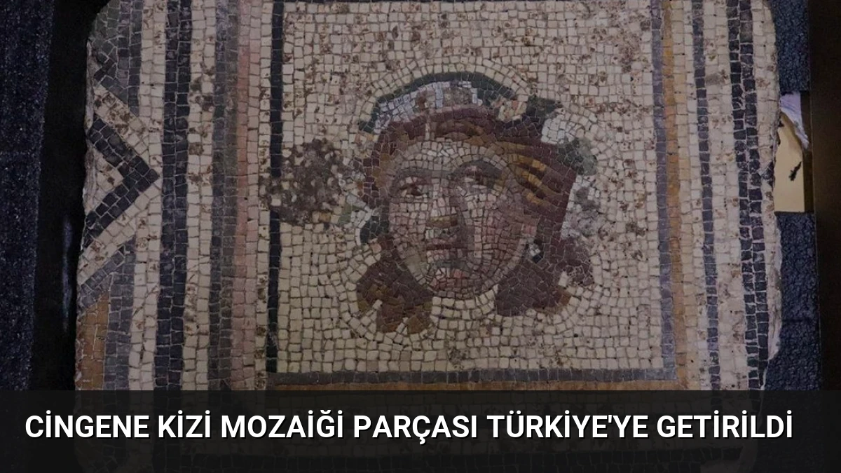 Cingene Kizi Mozaiği Parçası Türkiye’ye Getirildi
