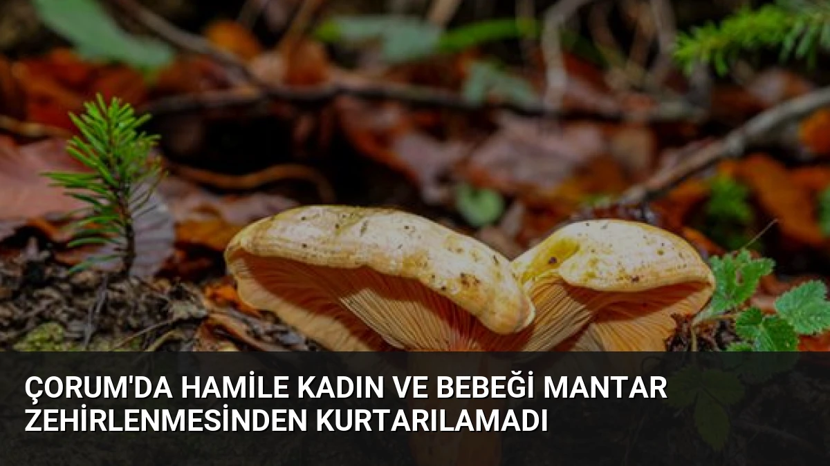Çorum’da Hamile Kadın ve Bebeği Mantar Zehirlenmesinden Kurtarılamadı