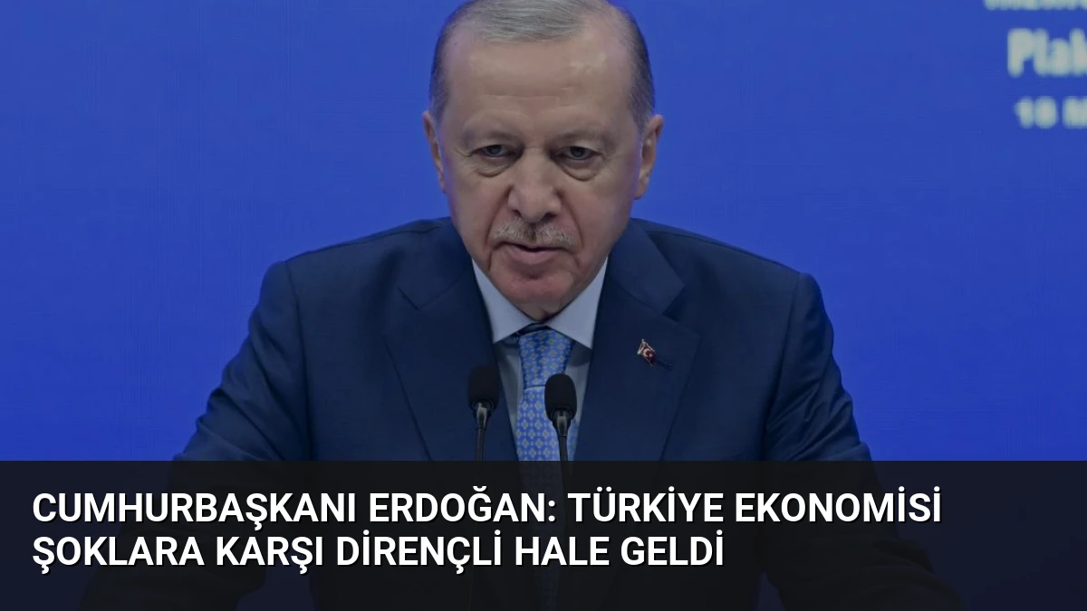 Cumhurbaşkanı Erdoğan: Türkiye Ekonomisi Şoklara Karşı Dirençli Hale Geldi
