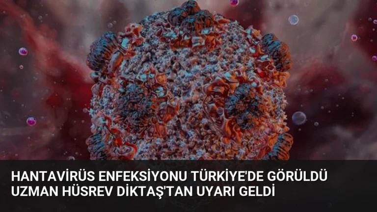 Hantavirüs Enfeksiyonu Türkiye’de Görüldü Uzman Hüsrev Diktaş’tan Uyarı Geldi
