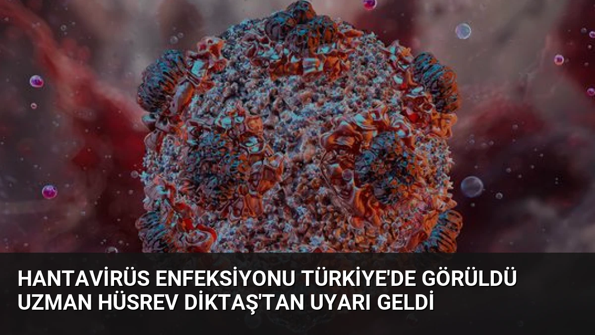 Hantavirüs Enfeksiyonu Türkiye’de Görüldü Uzman Hüsrev Diktaş’tan Uyarı Geldi