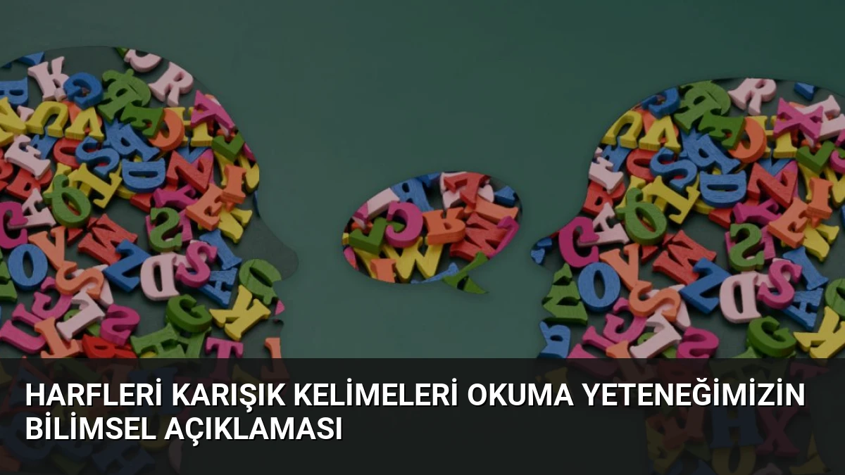 Harfleri Karışık Kelimeleri Okuma Yeteneğimizin Bilimsel Açıklaması