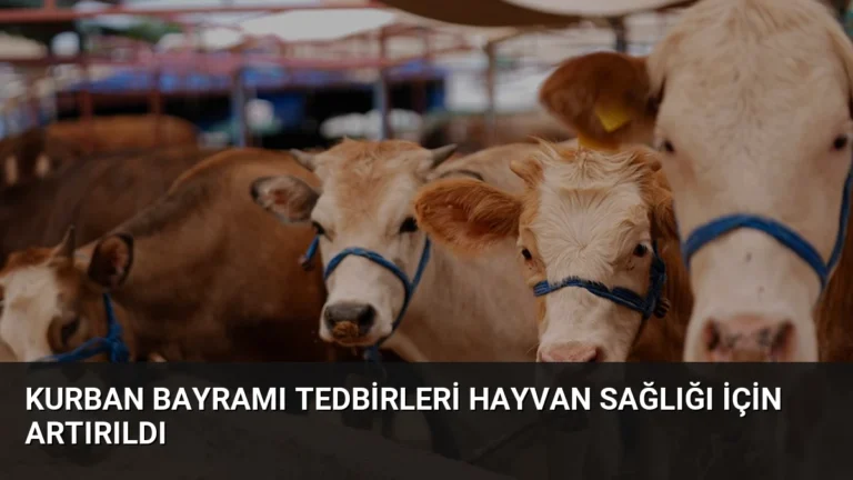 Kurban Bayramı Tedbirleri Hayvan Sağlığı İçin Artırıldı