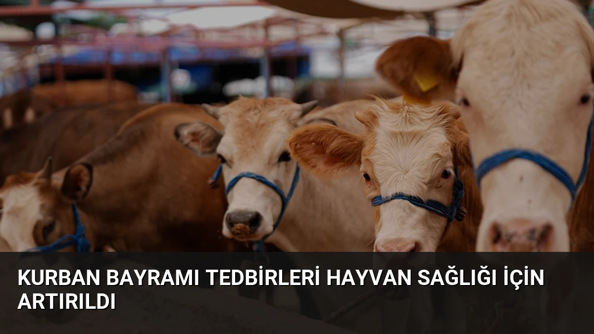 Kurban Bayramı Tedbirleri Hayvan Sağlığı İçin Artırıldı