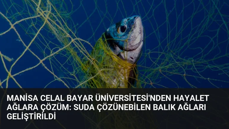 Manisa Celal Bayar Üniversitesi’nden Hayalet Ağlara Çözüm: Suda Çözünebilen Balık Ağları Geliştirildi