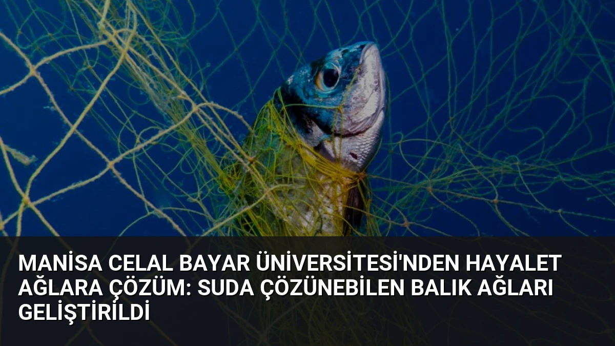 Manisa Celal Bayar Üniversitesi’nden Hayalet Ağlara Çözüm: Suda Çözünebilen Balık Ağları Geliştirildi