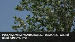 Polen Mevsimi Van’da Başladı Uzmanlar Alerji Riski İçin Uyarıyor