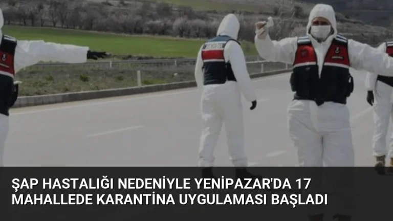 Şap Hastalığı Nedeniyle Yenipazar’da 17 Mahallede Karantina Uygulaması Başladı