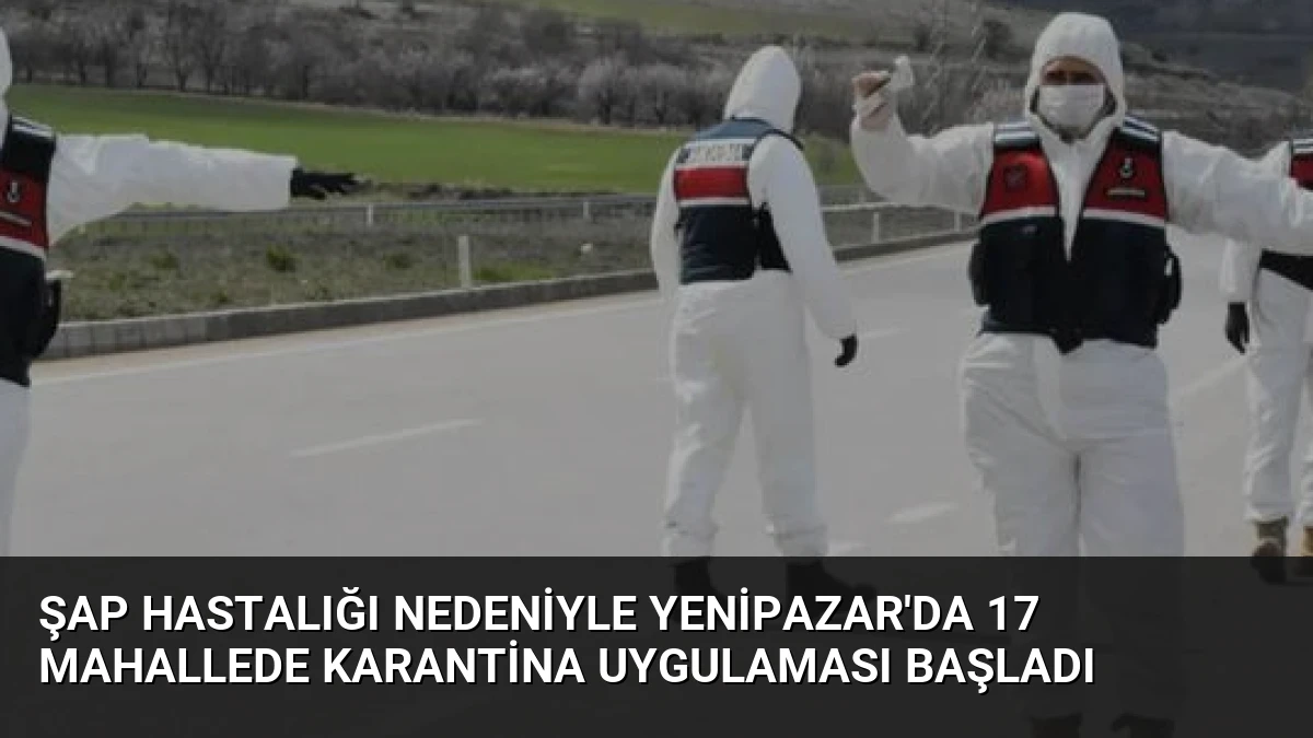 Şap Hastalığı Nedeniyle Yenipazar’da 17 Mahallede Karantina Uygulaması Başladı