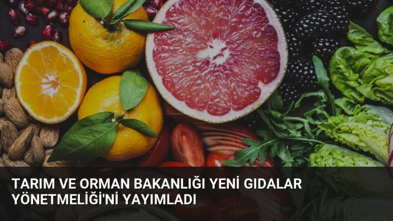 Tarım ve Orman Bakanlığı Yeni Gıdalar Yönetmeliği’ni Yayımladı