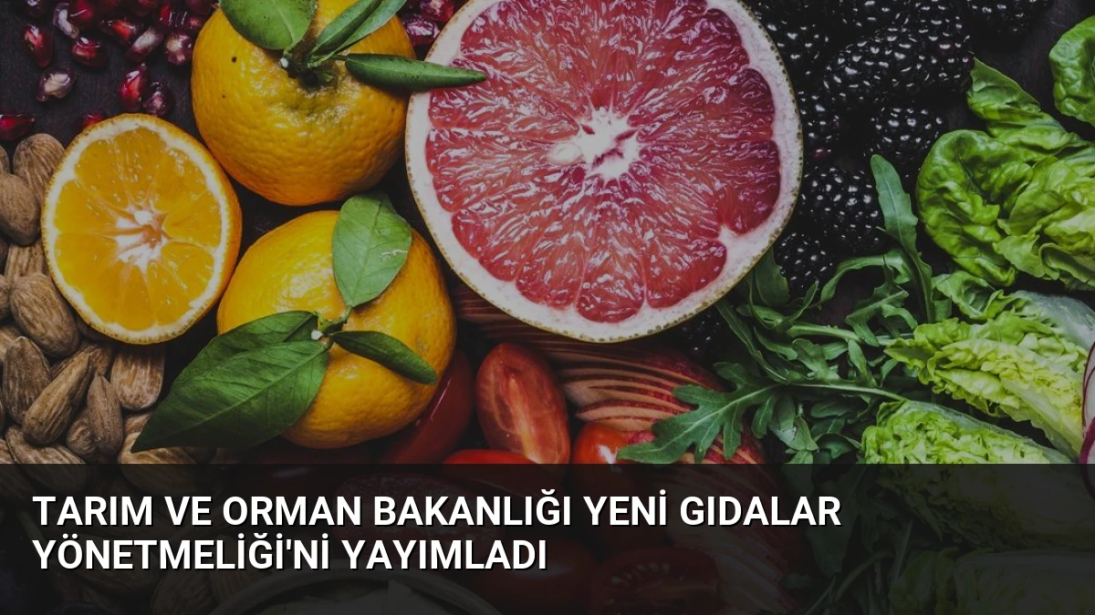 Tarım ve Orman Bakanlığı Yeni Gıdalar Yönetmeliği’ni Yayımladı