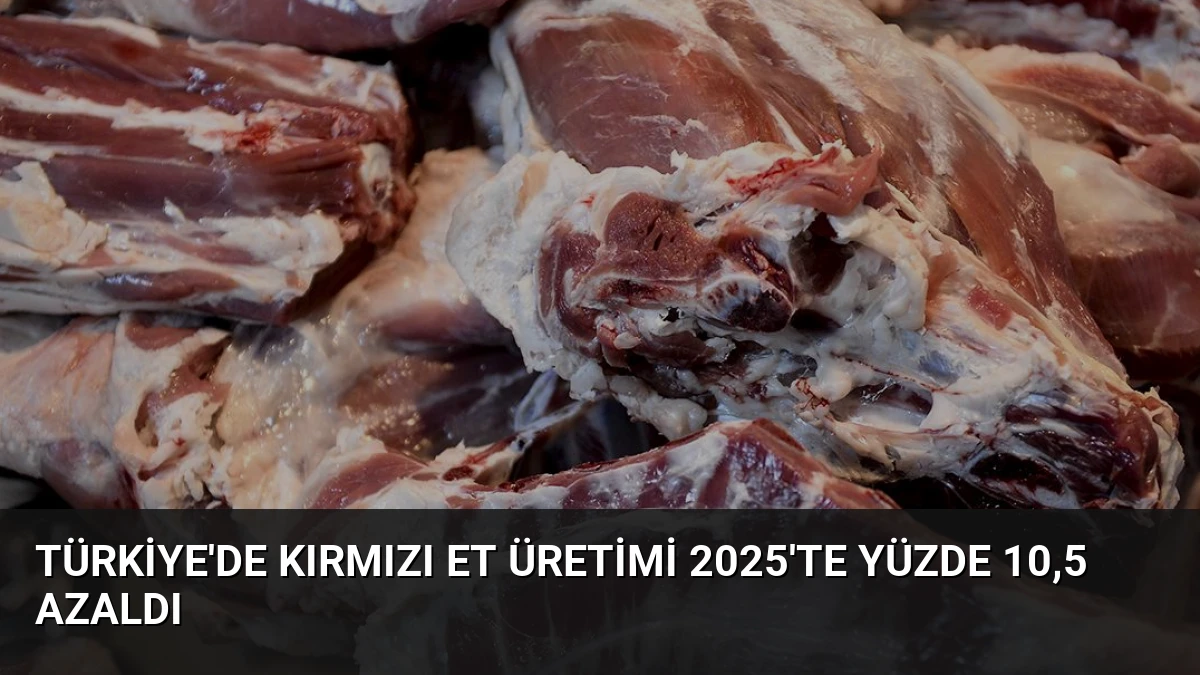 Türkiye’de Kırmızı Et Üretimi 2025’te Yüzde 10,5 Azaldı
