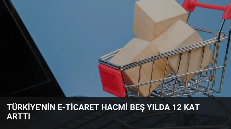 Türkiye’nin E-ticaret Hacmi Beş Yılda 12 Kat Arttı