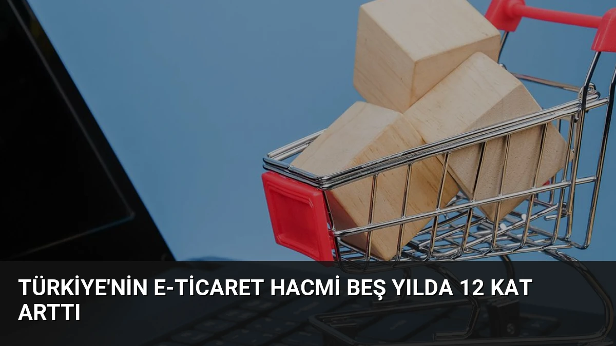 Türkiye’nin E-ticaret Hacmi Beş Yılda 12 Kat Arttı