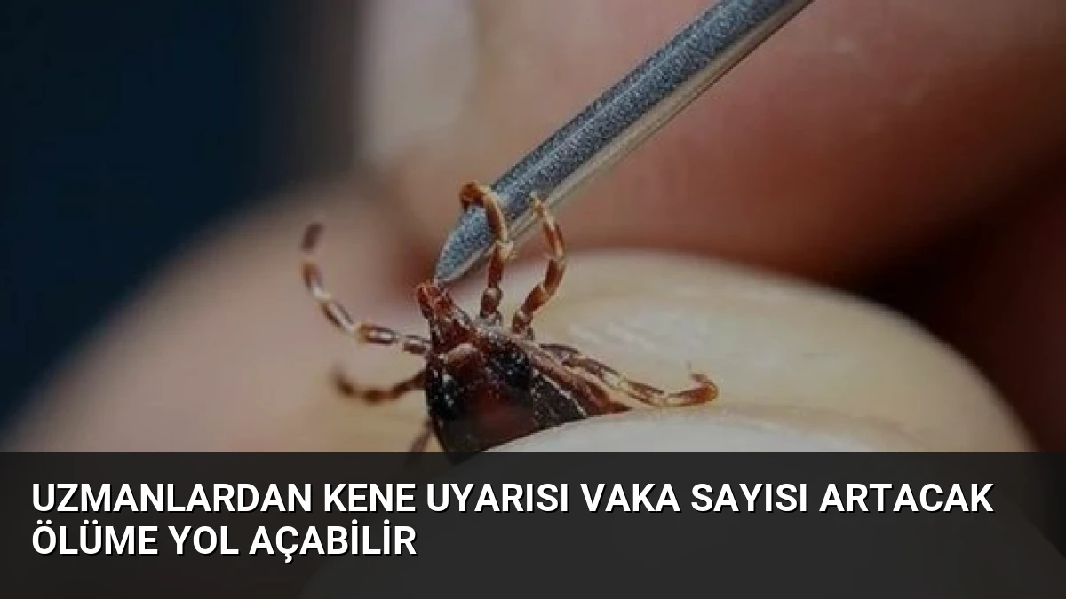 Uzmanlardan Kene Uyarısı Vaka Sayısı Artacak Ölüme Yol Açabilir