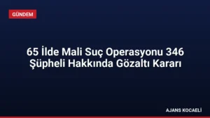 65 İlde Mali Suç Operasyonu 346 Şüpheli Hakkında Gözaltı Kararı