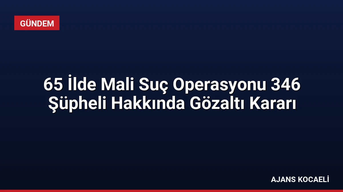 65 İlde Mali Suç Operasyonu 346 Şüpheli Hakkında Gözaltı Kararı