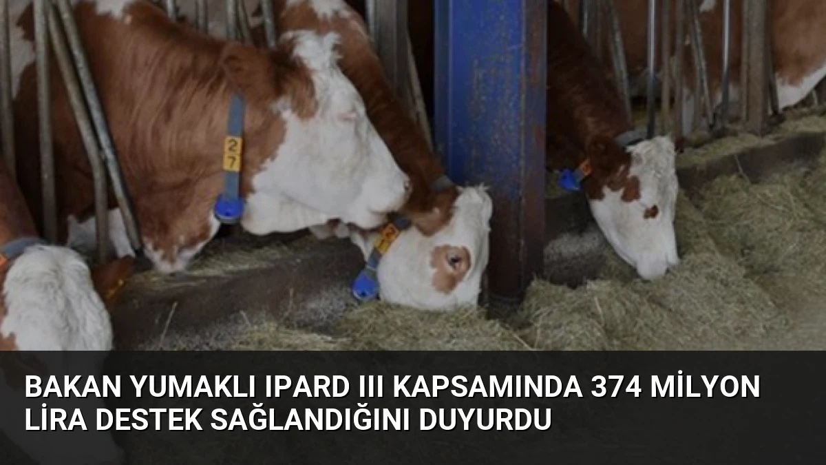 Bakan Yumaklı IPARD III kapsamında 374 milyon lira destek sağlandığını duyurdu