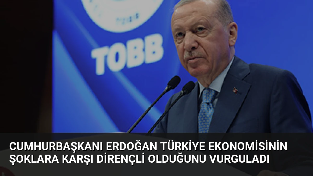 Cumhurbaşkanı Erdoğan Türkiye ekonomisinin şoklara karşı dirençli olduğunu vurguladı