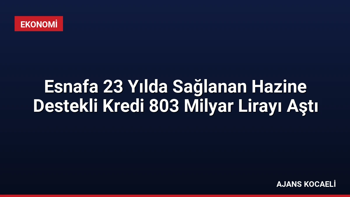 Esnafa 23 Yılda Sağlanan Hazine Destekli Kredi 803 Milyar Lirayı Aştı