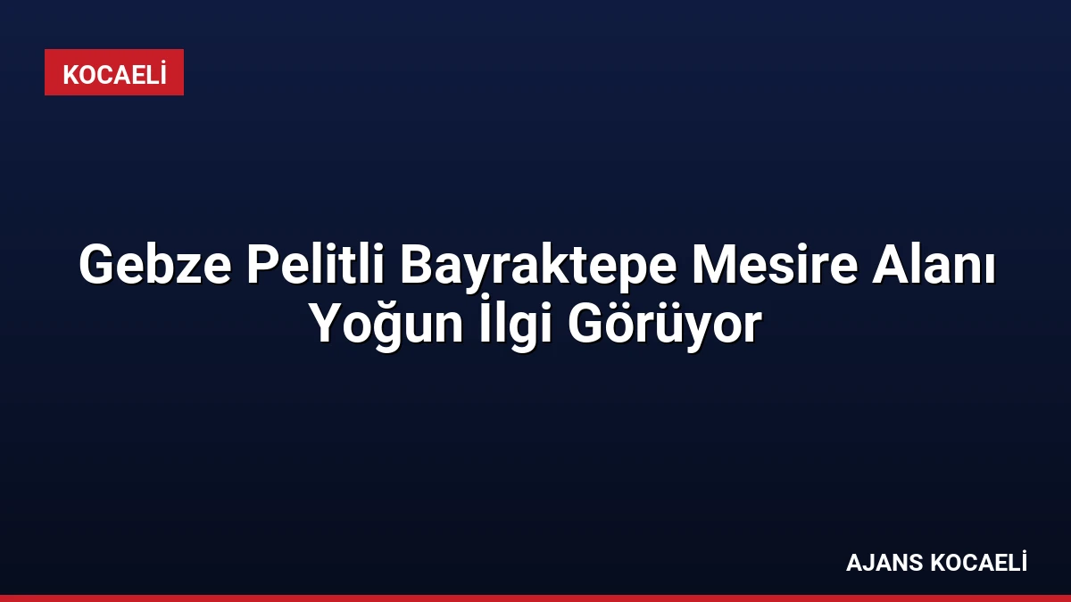 Gebze Pelitli Bayraktepe Mesire Alanı Yoğun İlgi Görüyor