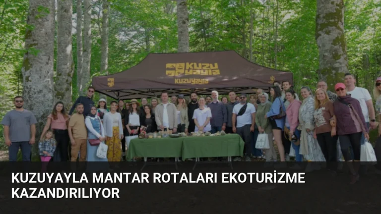 Kuzuyayla Mantar Rotaları Ekoturizme Kazandırılıyor
