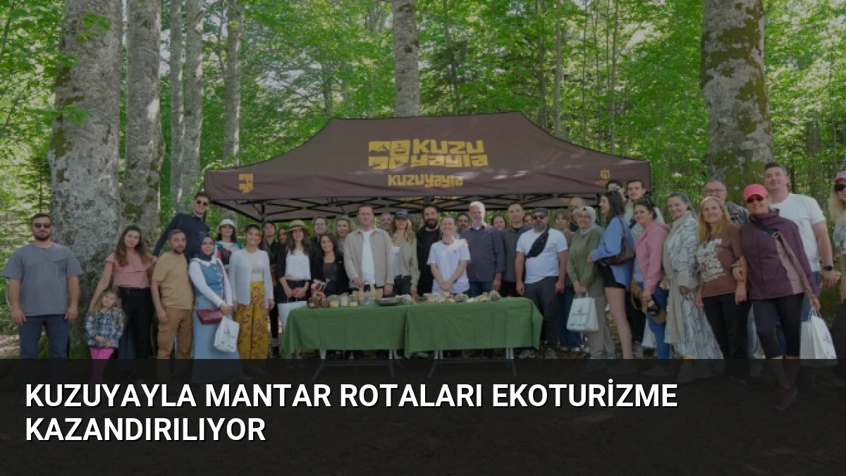 Kuzuyayla Mantar Rotaları Ekoturizme Kazandırılıyor
