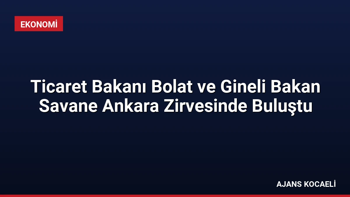 Ticaret Bakanı Bolat ve Gineli Bakan Savane Ankara Zirvesinde Buluştu