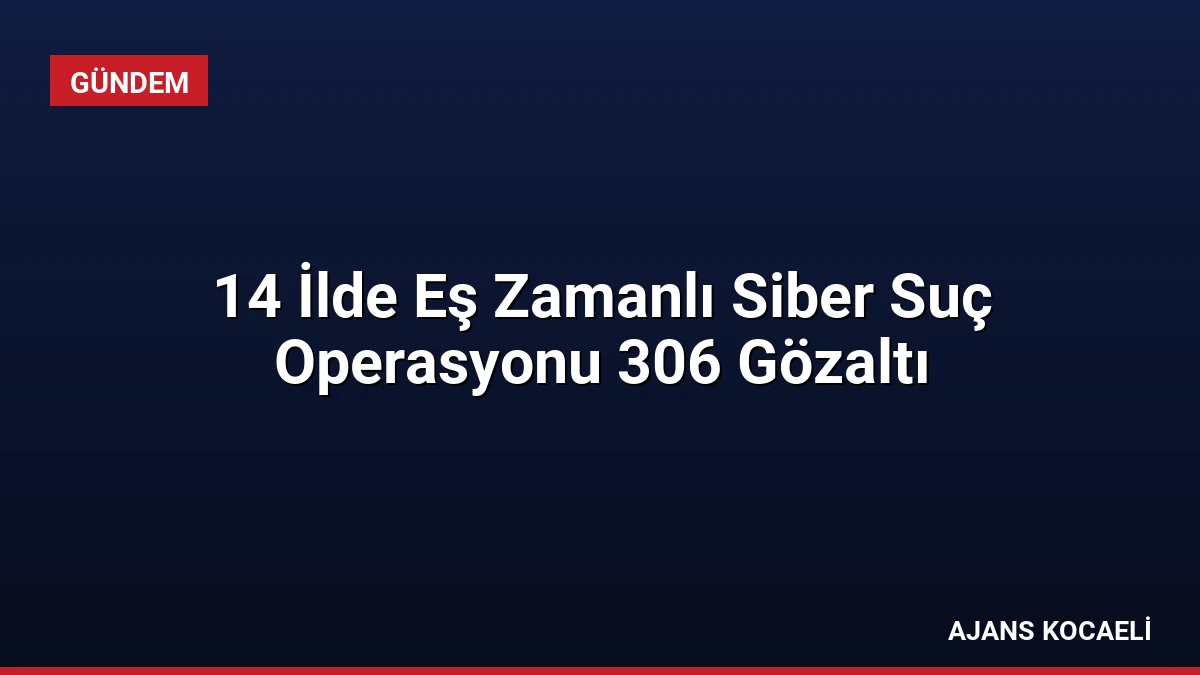 14 İlde Eş Zamanlı Siber Suç Operasyonu 306 Gözaltı