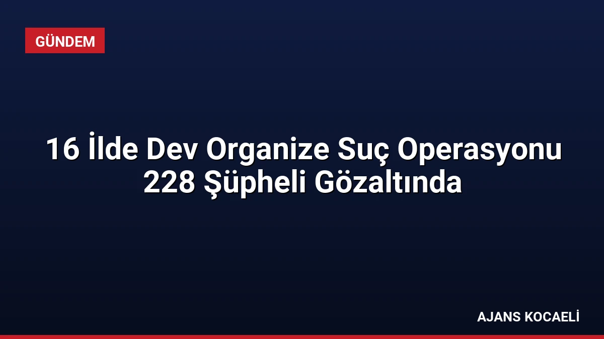 16 İlde Dev Organize Suç Operasyonu 228 Şüpheli Gözaltında