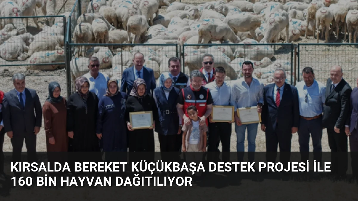 Kırsalda Bereket Küçükbaşa Destek Projesi ile 160 bin hayvan dağıtılıyor