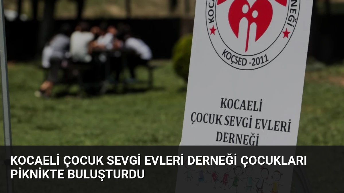Kocaeli Çocuk Sevgi Evleri Derneği çocukları piknikte buluşturdu
