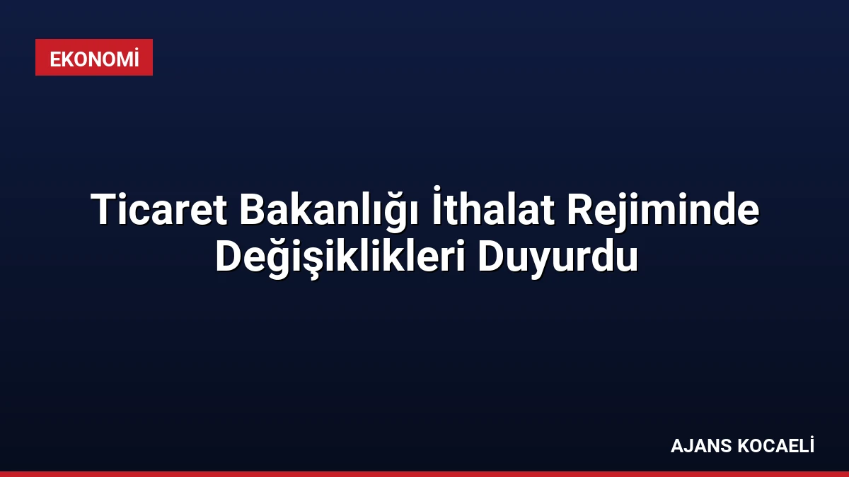Ticaret Bakanlığı İthalat Rejiminde Değişiklikleri Duyurdu