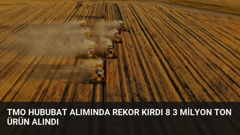 TMO Hububat Alımında Rekor Kırdı 8 3 Milyon Ton Ürün Alındı