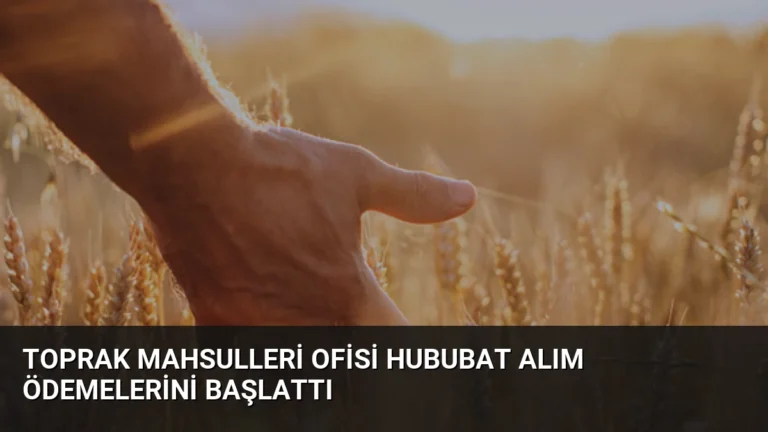 Toprak Mahsulleri Ofisi Hububat Alım Ödemelerini Başlattı