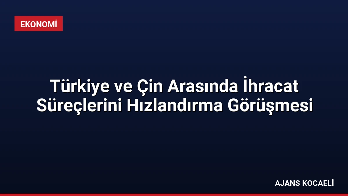 Türkiye ve Çin Arasında İhracat Süreçlerini Hızlandırma Görüşmesi